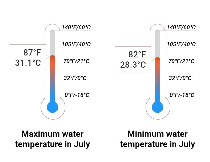 Average Sea temperature